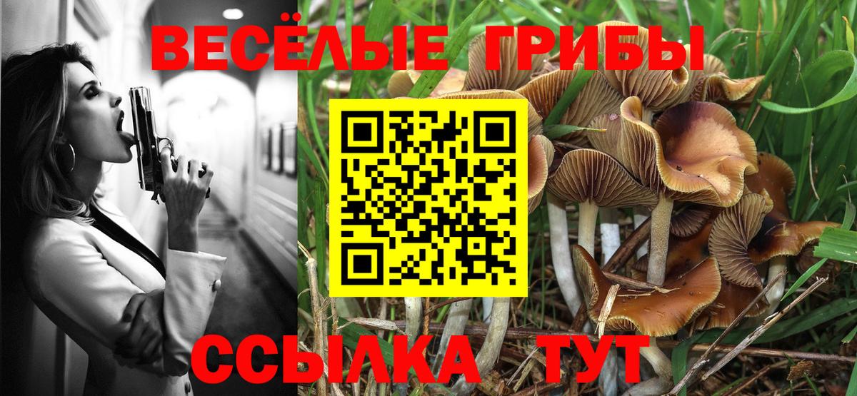 Амфетамин Киселёвск