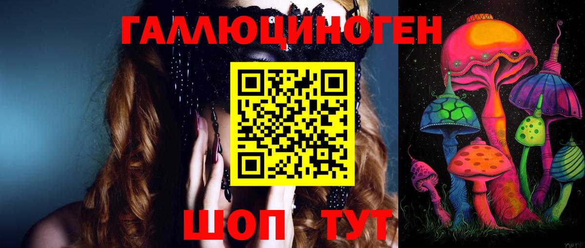 Псилоцибиновые грибы Psilocybine cubensis  Галлюциногенные грибы Magic Shrooms  Киселёвск  где купить наркоту  Вход с VPN 