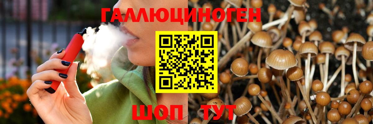 Киселёвск  Вход с VPN  Канабис  МЕФ кристаллы  Где продают наркотики?  ГАШ  Кокаин 